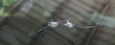 Cómo identificar un parabrisas roto
